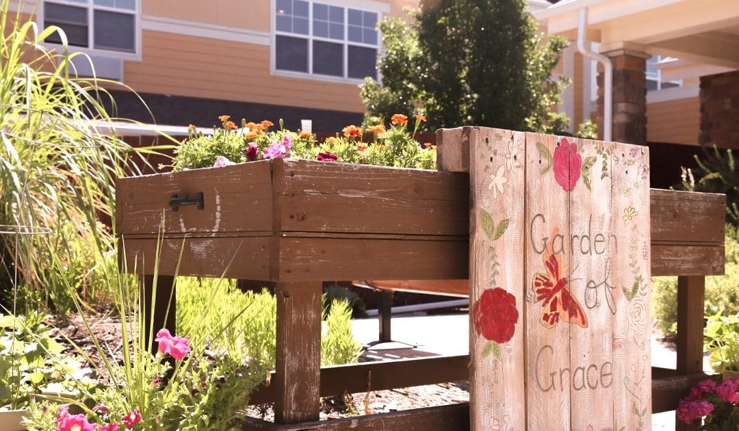 Outdoor garden